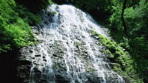 节能电子高端